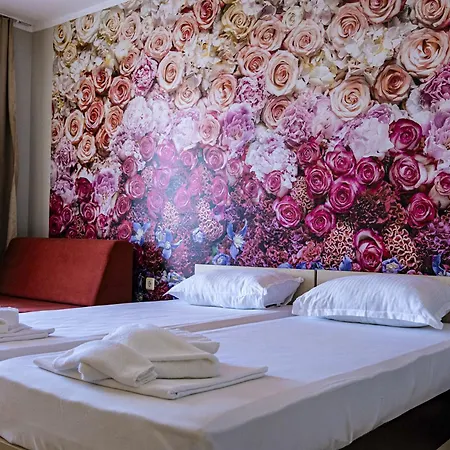 Arapya Resort מלון *